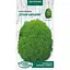 Семена Кохия Веническая Насіння України Летний кипарис 0.5 г (788200) - миниатюра 1