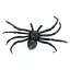Паук Чорная вдова - миниатюра 1