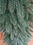 Гирлянда из хвои Премиум 3 м литая (Зеленая) - миниатюра 2