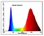 Фітолампа Brille для зростання та формування коренів LED E27, 9W Fito Grow Full Spectrum = 9: 1, 220 В - мініатюра 4