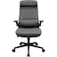Офісне крісло Cougar Stryder Grey [155603] - мініатюра 1
