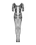 Obsessive Bodystocking F238 black S/M/L - миниатюра 3