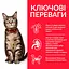 Сухий корм Hill's SP Adult для дорослих котів з тунцем Вага: 0.3 кг - мініатюра 2