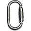 Карабін First Ascent Ovum Autolock Keylock (1060-FA 8008) - мініатюра 1