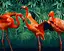 Набор для росписи по номерам Яркие тропики, 40x50 см, КНО4335 - миниатюра 1