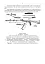 Керівництво зі стрілецької справи 5,45-мм автомати Калашнікова (АК-74, АКС-74, АК-74Н, АКС-74Н) та 5,45-мм ручні кулемети Калашнікова (РПК-74, РПКС-74, РПК-74Н, РПКС-74Н) - миниатюра 9