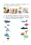 Я досліджую світ. 1 клас. Зошит. Частина 1. (до підручника Грущинської І.В. та ін.) - миниатюра 3