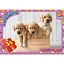 Пазлы детские Домашние животные AN121, 35 элементов - миниатюра 1