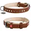 Нашийник для собак Waudog Soft шкіряний з QR паспортом, металеві прикраси, XS, Ш 15 мм, Дов 27-36 см - мініатюра 1