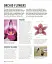 Grow Orchids. Essential Know-how and Expert Advice for Gardening Success - миниатюра 5
