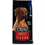 Сухой корм Farmina Cibau Adult Maxi для взрослых собак больших пород, с курицей, 12 кг - миниатюра 1