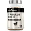 Экстракт трибулуса террестриса True Health Tribulus Max 200 mg, 90 вегакапсул для поддержания половой функции - миниатюра 1