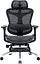 Офісне крісло Sihoo DORO C300L Mesh Black with footrest (DORO-C300L-A3-101-JT) - мініатюра 1