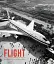 Flight: The Evolution of Aviation - мініатюра 1