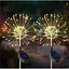 Світильник газонний Solar Феєрверк на сонячній батареї 150 світлодіодів 50 ліній теплий білий 2 шт. - мініатюра 1
