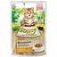 Вологий корм Stuzzy Chicken for Kitten з куркою в соусі для кошенят 85г - мініатюра 1