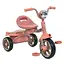 Велосипед детский трехколесный Turbo Trike MT 1037 Peach Fuzz - миниатюра 1