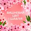 Кондиціонер для білизни Lenor Вишневий цвіт та шавлія 32 цикли прання 675 мл - мініатюра 6