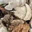 100 г гриб березовый трутовик сушеный - миниатюра 1