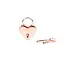 Набір BDSM замочків Liebe Seele Heart-Shaped Lock 2 шт. рожеве золото - мініатюра 2