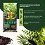 Торфосмесь для зелёных растений и пальм COMPO SANA® 20 л - миниатюра 5