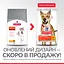 Сухий корм Hill's SP Can Adult Performance 14 кг для активних, мисливських або робочих собак зі - мініатюра 2