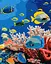 Набор для росписи по номерам Жизнь океана, Ideyka, 40x50 см, КНО6704 - миниатюра 1