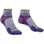 Носки Bridgedale Trail Run Ultralight T2 Coolmax Sport Low Wms M Purple (1053-710258.371.M) - миниатюра 1