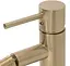 Змішувач для біде Rea Tess brushed gold REA-B7010 Золотий - мініатюра 5