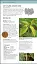 Herbal Remedies Handbook - мініатюра 7