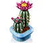 Конструктор LEGO Botanicals Цветение кактуса 482 детали (11509) - миниатюра 3