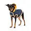 Шлея-жилет Pet Fashion Poppy для собак розмір XS - мініатюра 2