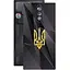 Защитная пленка StatusSKIN для ZTE Nubia Red Magic 8 Pro Plus Корпус Винил Герб 1 - миниатюра 1