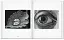 M.C. Escher. The Graphic Work - миниатюра 7