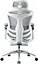 Офісне крісло Sihoo DORO C300 Pro Mesh White with footrest (DORO-C300-PRO-M102-JT) - мініатюра 4