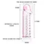 Насадка на пеніс BAILE - MALE-WEAR NET SLEEVE Baile BI-026200 99110 - мініатюра 4