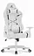 Компьютерное кресло Hell’s HC-2001 White-Black экокожа - миниатюра 1
