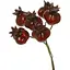 Декоративная ветка с 6 мини-гранатами Бордовый 12.5 см - миниатюра 1