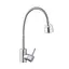 Змішувач для кухні з гнучким виливом Agua Acero-INOX035-2 CV023291 Хром матовий - мініатюра 4