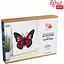 Набір картина 3D Rosa Talent Метелик 4 МДФ ґрунтоване 4 шари 17х17 см - мініатюра 1