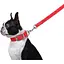 Поводок Dog Extreme из нейлона двойной (ширина 20мм, длина 122см), красный - миниатюра 4