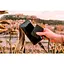 Внешний SSD накопитель Verbatim Store 'n' Go Mini 512GB (53236) [128396] - миниатюра 11