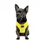 Борцовка Pet Fashion Puppy для собак, розмір XS2, жовта - мініатюра 3