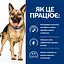 Вологий корм для собак Hill’s Prescription Diet Gastrointestinal Biome при захворюваннях шлунково-кишкового тракту - мініатюра 2