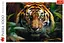 Пазл Дикий тигр - 1000 елементів Trefl 10798 - мініатюра 3