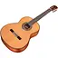 Класична гітара Cordoba C9 CD [130419] - мініатюра 3