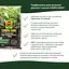 Торфосуміш COMPO SANA® для зелених рослин і пальм 10 л - мініатюра 4
