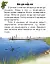 Читаю про Україну. Тварини річок та морів - миниатюра 4