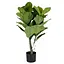 Искусственное растение Engard Fiddle 90 см (TW-01) - миниатюра 2