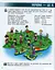 Я досліджую світ. 3 клас. Підручник. У 2 частинах. Частина 1 - миниатюра 2